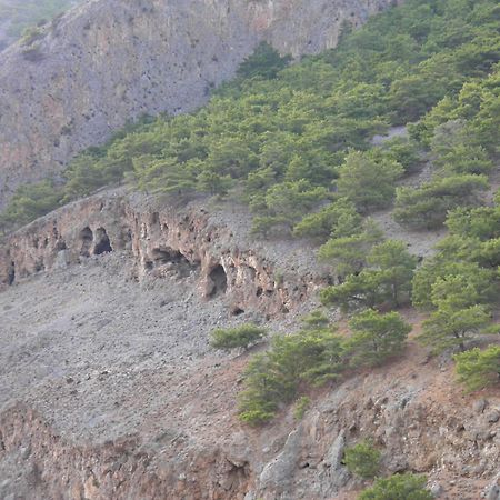 Appartamento Samaria Agia Roumeli Esterno foto